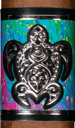 Espinosa Psychedelic Turtle