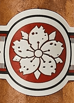 Room 101 Ichiban Connecticut