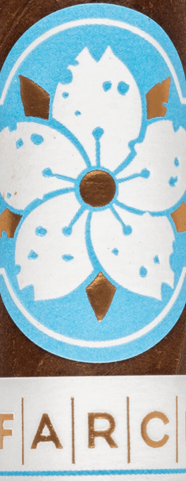 Room 101 Farce Nicaragua