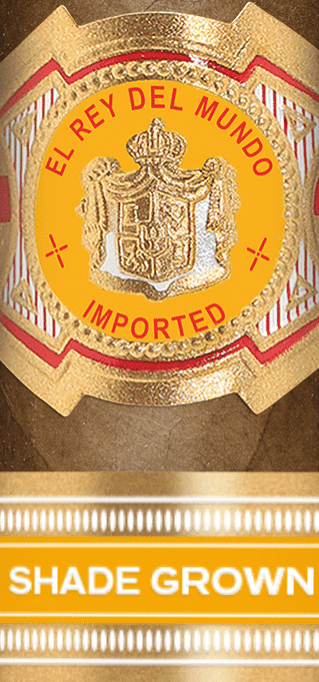 El Rey del Mundo Shade Grown