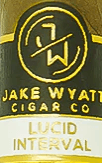 Jake Wyatt Lucid Interval