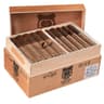 Asylum 13 Medulla Oblongata Maduro (Box of 30)