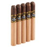 5 Vegas Series A (Pack of 5)