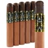 5 Vegas Series A (Pack of 5)