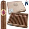Warped Maestro del Tiempo (Pack of 5)