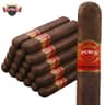 Punch Rare Corojo (Pack of 5)