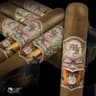 My Father Connecticut (Pack of 5)