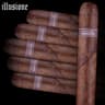 Illusione Garagiste (Pack of 5)