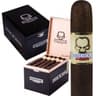 Asylum Insidious Maduro (Pack of 5)