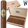 Warped Chinchalle (Pack of 5)