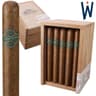 Warped La Hacienda (Box of 25)