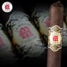L'Atelier La Mission (Pack of 5)