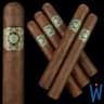 Warped Flor Del Valle (Box of 10)