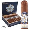 Room 101 Farce Maduro (Pack of 5)
