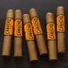 Camacho Connecticut (Pack of 5)