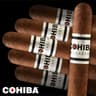 Cohiba Macassar (Pack of 5)