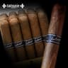 Tatuaje Black (Pack of 5)