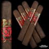 2012 by Oscar Maduro (Pack of 5)