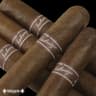 Tatuaje Miami (Box of 25)