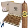Warped La Colmena (Pack of 5)