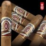 Alec Bradley Connecticut (Pack of 5)