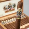 Ashton ESG (Pack of 5)