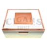 Buy Rocky Patel White Label Toro Cigars Online at Discount Prices (Box of 20)