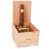 Bolivar Cofradia (Box of 25)