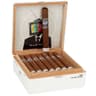 Alec & Bradley Blind Faith (Box of 24)