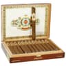 Ashton Symmetry (Box of 25)