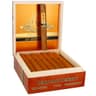 Perdomo Reserve Champagne Connecticut (Box of 25)