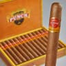 Punch Gran Puro Cigar (Single)