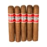 Cohiba Red Dot (Pack of 5)