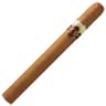 Cusano 18 Double Connecticut (Box of 18)