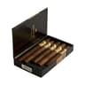 Ashton VSG Sampler (Sampler of 5)