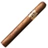 Bolivar Cofradia