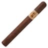 Bolivar Cofradia