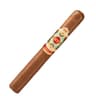 Ashton Symmetry (Box of 25)