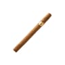 Tatiana Dolce (Pack of 50)