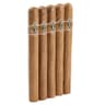 CAO Gold (Pack of 5)