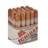 Room101 Ichiban Connecticut (Pack of 20)
